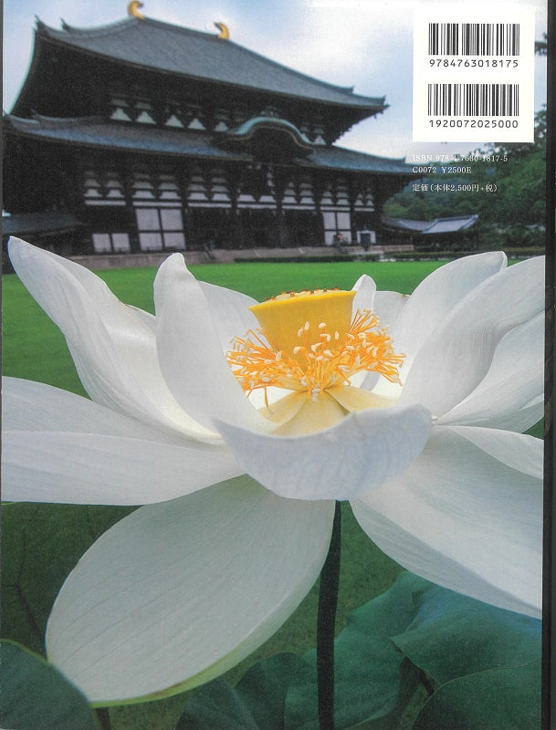 東大寺　写真集 B2判超特大写真集「東大寺」 : 小学館百貨店